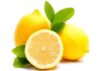 lemon export